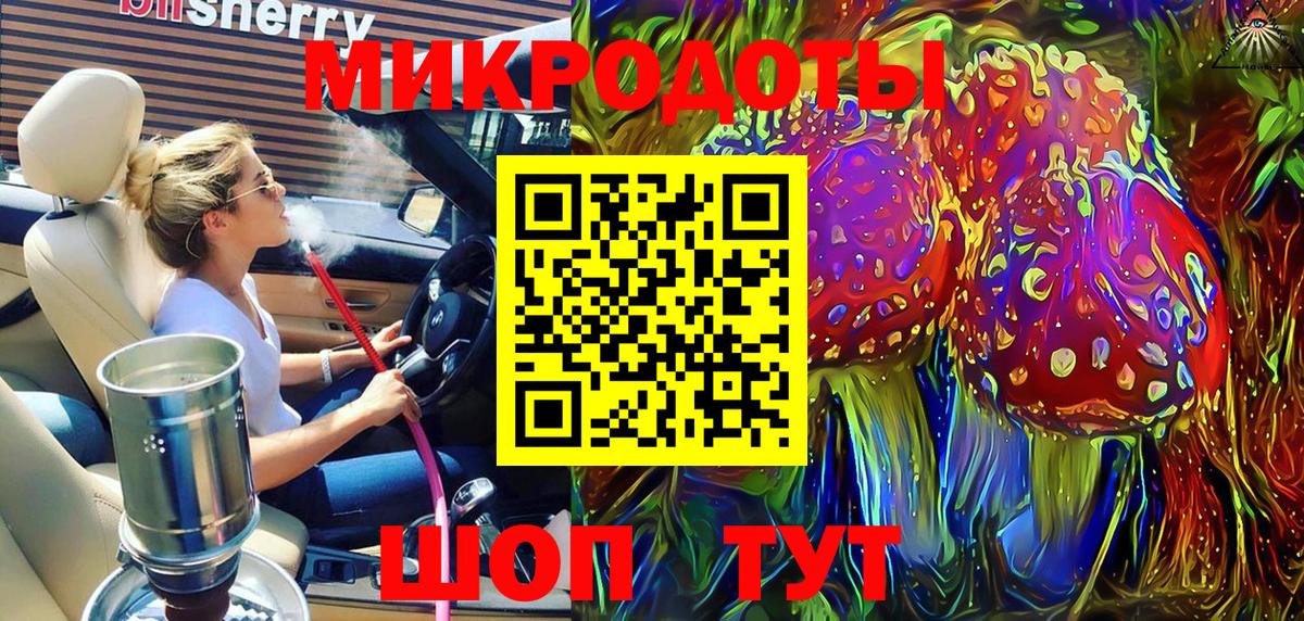 Псилоцибиновые грибы Psilocybe Медногорск